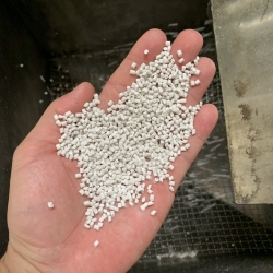 PP TRẮNG SỮA